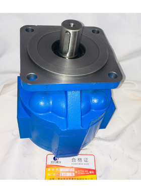 煤矿钻机齿轮泵型号CBY3050/2006-2FR