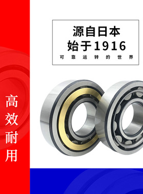 日本NU304 305 306 307 308 309 310EW EM C3圆柱滚子轴承