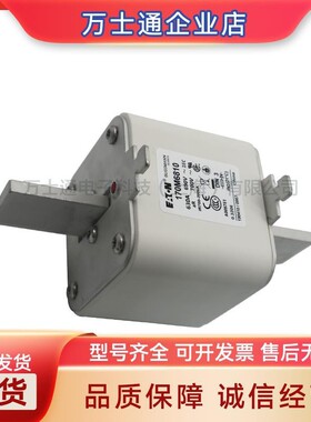 170M6067170M6068170M6069170M6070170M6071全新熔断器现货