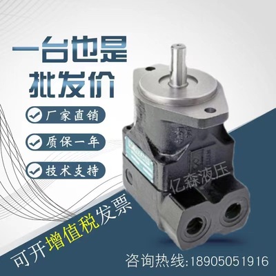 印度维京VELJAN叶片泵VT6B-B02/03/04/05/06/07/08/09-5R01D4-03