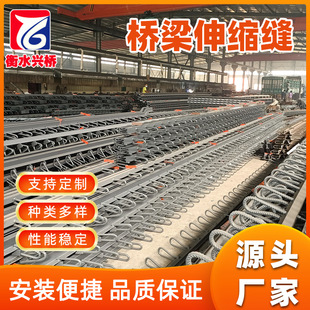 桥梁伸缩缝桥面连续多向变位 梳齿板桥梁伸缩缝 C40型F60型模数式