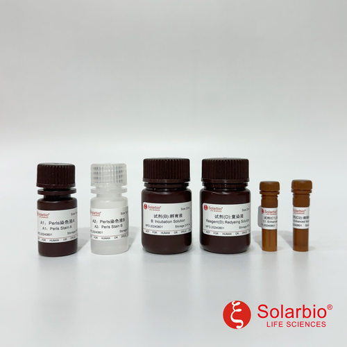 G1429 普鲁士蓝染色试剂盒(二价铁，增强型) 变体 级联放大