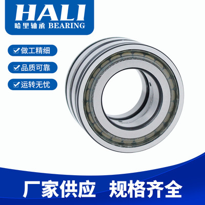 SL045020-PP圆柱滚子轴承SL045022-PP SL045028-PP满装轴承批发