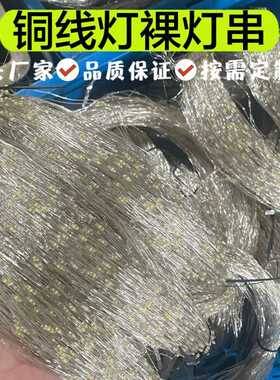 LED灯串银线七彩快闪慢闪满天星户外防水庭院氛围小彩灯铜线裸灯