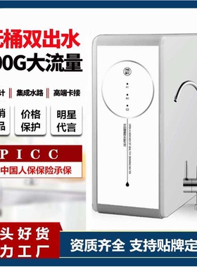 RO反渗透纯水机净水机家用500G大流量双出水台式直饮机厨房净水器