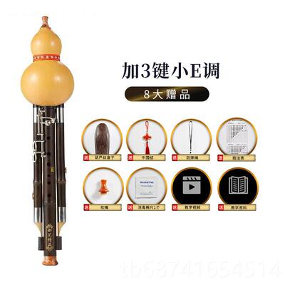 正品新艺紫七孔加3专键葫芦丝乐竹器业奏型降b调c调gf调演宽音域