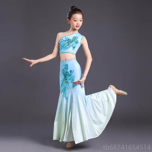 正品儿童傣族舞演出服装练功裙鱼尾孔雀舞表服蹈傣族演女幼儿艺考