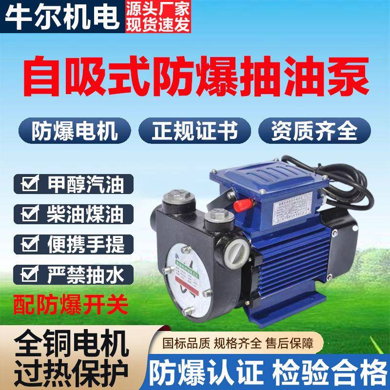 DYB-80/150防爆电动抽油泵220V便携手提式甲醇汽油柴油自吸加油泵