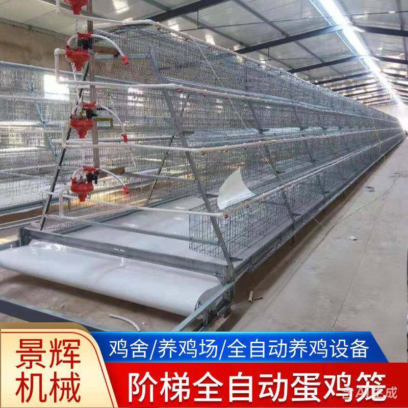 热镀锌阶梯全自动蛋鸡笼自动清粪捡蛋喂料全自动养鸡设备厂家鸡用,畜牧/养殖物资,特种养殖设备,淘宝优惠券,粉丝福利购,淘宝优惠卷