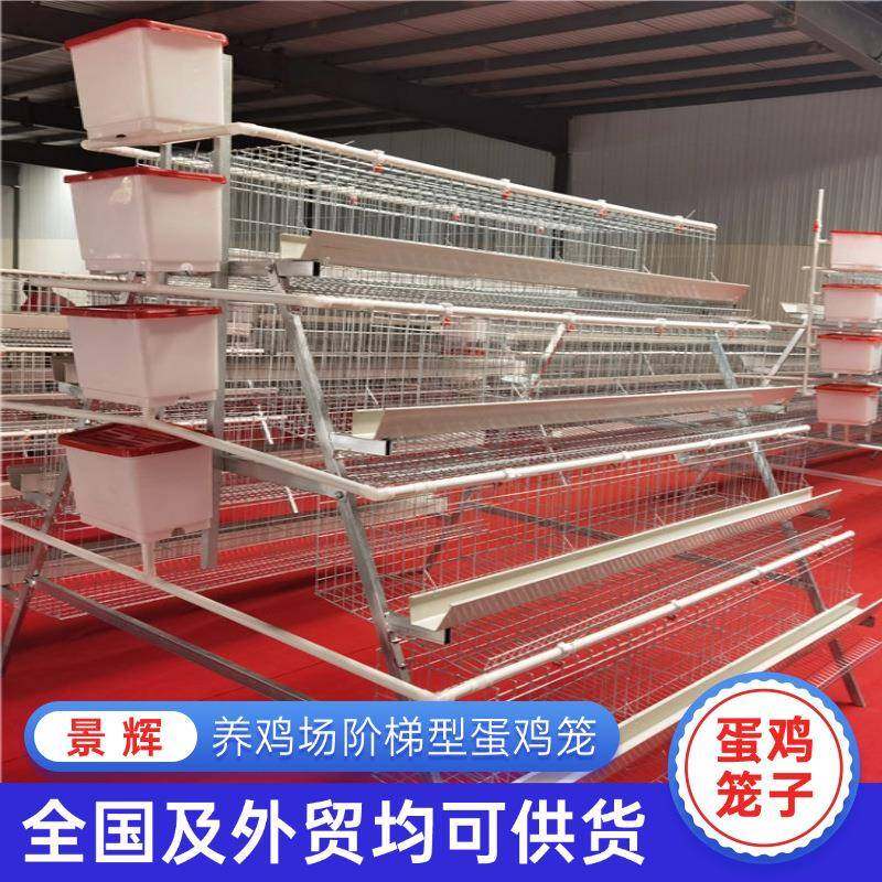 阶梯式蛋鸡笼三层四层阶梯式蛋鸡笼家禽养殖设备冷镀锌蛋鸡笼,畜牧/养殖物资,特种养殖设备,淘宝优惠券,粉丝福利购,淘宝优惠卷