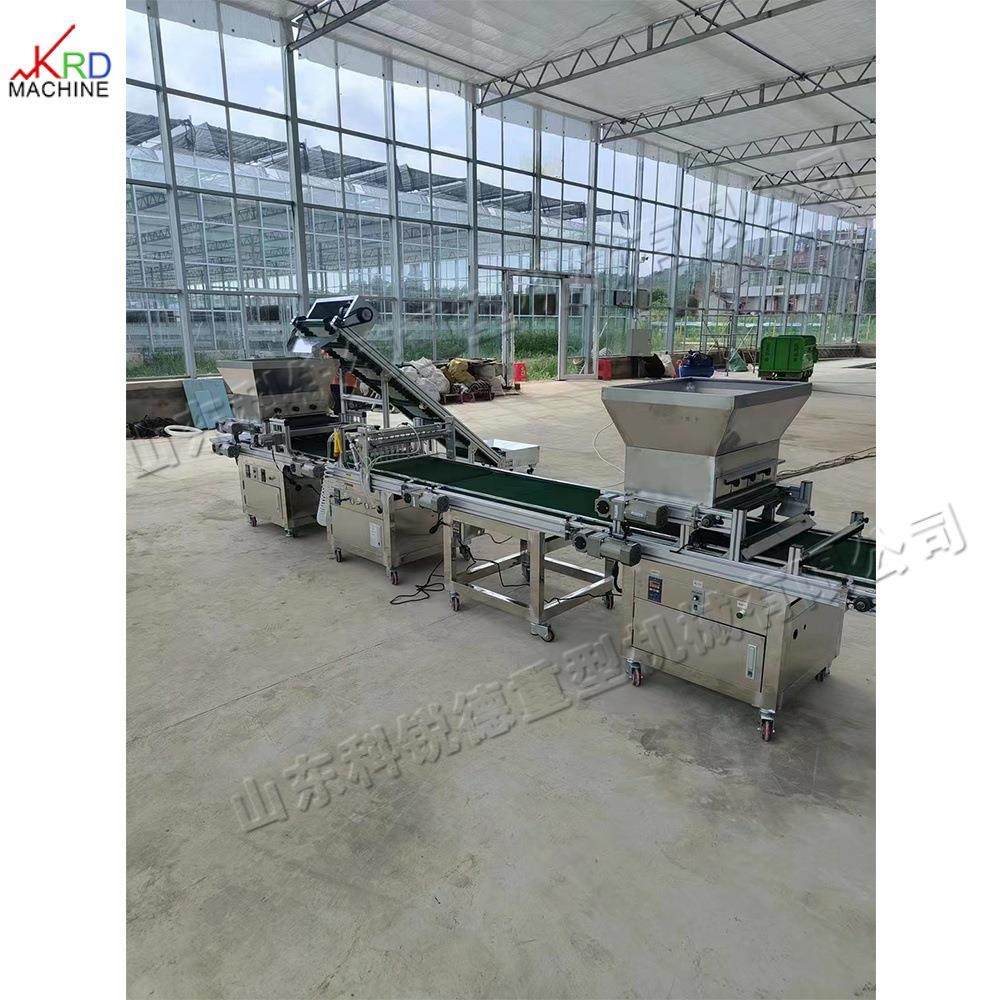 全自动穴盘育苗机 铺土压穴播种覆土流水线 种子针吸式育苗机,农机/农具/农膜,播种栽苗器/地膜机,淘宝优惠券,粉丝福利购,淘宝优惠卷