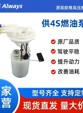 适用比亚迪S6/10款带阀燃油泵总成S6-1106610-C1