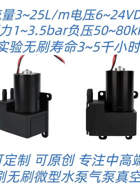 销售 12V 300kpa 无刷气泵 真空保鲜食品 气体采集 4AB12A30R