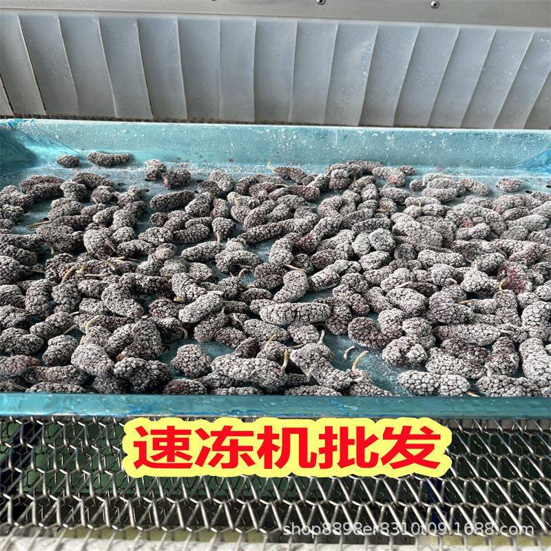 源桦方榴莲肉速冻机鸡块冷冻加工设备玉米块冷冻机