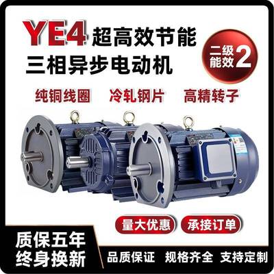 三相异步电动机380v电机0.751.11.534WYE4高效节能全铜电机