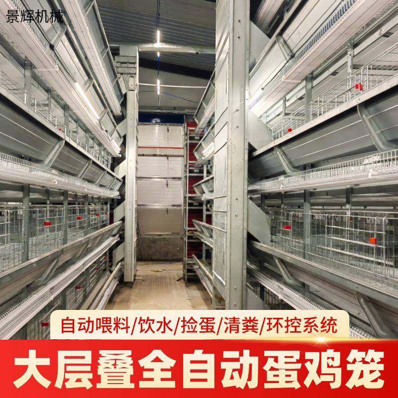 框架蛋鸡笼全自动厂家蛋鸡笼层叠式养鸡设备立式热镀锌丝鸡笼,畜牧/养殖物资,特种养殖设备,淘宝优惠券,粉丝福利购,淘宝优惠卷