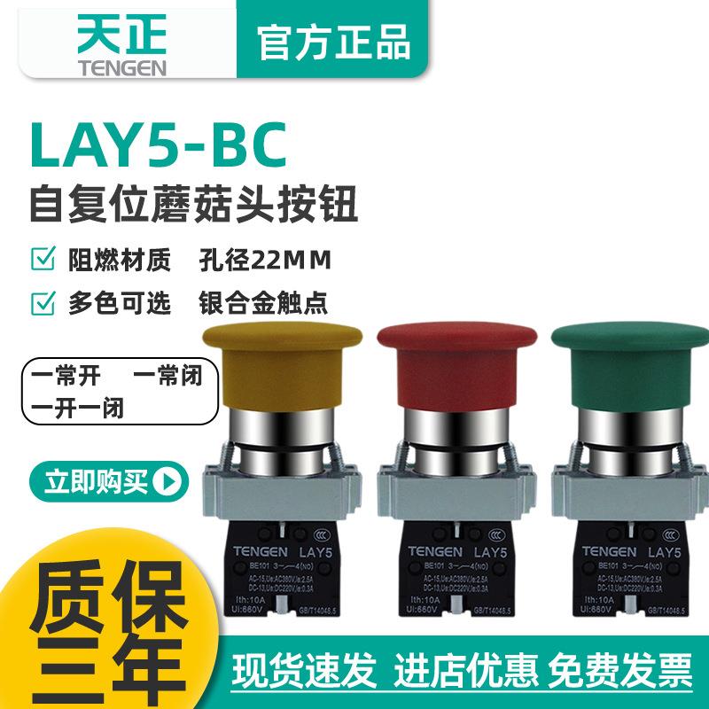 天正LAY5-BC5BC45BC1蘑菇头按钮开关NP2自复位红绿22孔