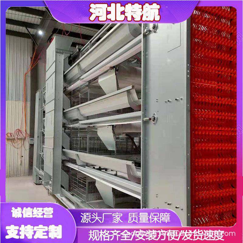 大层叠鸡笼蛋鸡设备全自动养鸡养殖设备多层叠蛋鸡肉鸡笼具镀锌,畜牧/养殖物资,特种养殖设备,淘宝优惠券,粉丝福利购,淘宝优惠卷