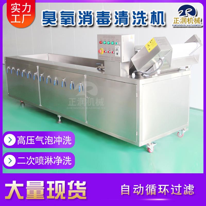 销售果蔬臭氧清洗机 商用水果清洗去农残设备 多用途葡萄清洗机
