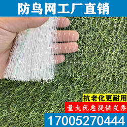 防鸟网尼龙大棚果树樱桃葡萄梨树蓝莓果园防鸟用网养殖场鱼塘天网