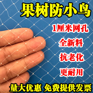 果树防鸟网1厘米网孔防雹网大棚樱桃葡萄苹果蓝莓防鸟用网防鸟罩