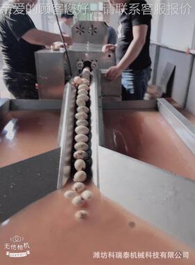 多型号小鸭清洗TJZ流水线大中蛋型洗蛋机生产厂家 循环水洁 蛋设