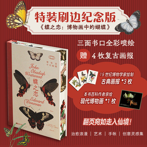 蝶之恋博物画中的蝴蝶艺术图鉴