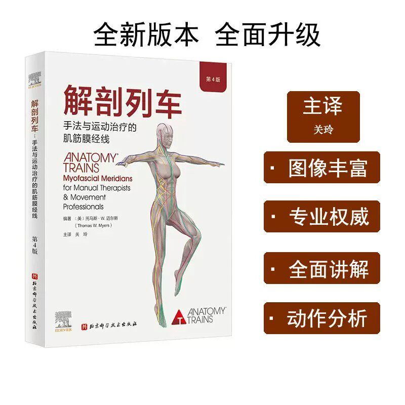 解剖列车手法与运动治疗的肌筋膜经线第4版医学运动康复类专业书籍人体解剖学肌筋膜链理论手法治疗运动康复健身教练康复师工具书