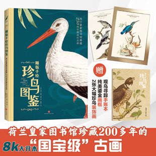 雕版手绘珍鸟图鉴荷兰皇家图书馆珍藏200多年的国家级古画观鸟系列科普 (荷)比比·多姆·塔克著施辉业译全新正版典藏珍惜鸟类书
