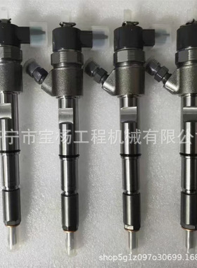 0433172431共轨喷油器0445110541 0433172351喷油嘴总成