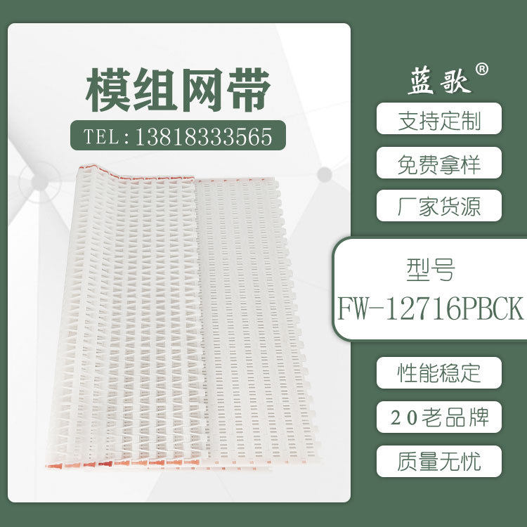 塑料链板式网带 塑料网链 物流分拣输送带 POM模组网带厂家货源,模玩/动漫/周边/娃圈三坑/桌游,文化/体育周边,淘宝优惠券,粉丝福利购,淘宝优惠卷