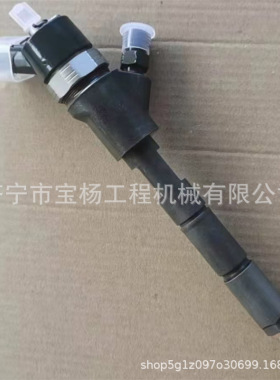 0445110307喷油器6271-11-3100喷油嘴0986435196喷射器4025334