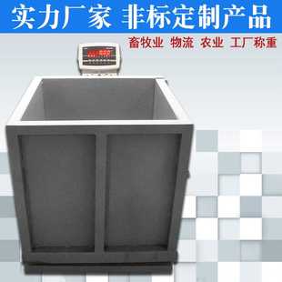 跨国物流电子称 电子磅 多功能电子秤 快递物流行业电子称
