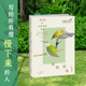 五年自然观察 百余幅精美插图 自然写作 知名作家谭恩美 未读 鸟类 暮年观鸟日志 献给所有愿为窗外风景驻足之人 后院观鸟 速写