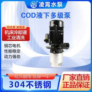 20数控机床泵冷却泵不锈钢液下泵浸入式 广东凌霄COD2 多级离心泵