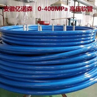 1.5内螺纹天然气高压管 M20 400MPa海洋平台用高压软管