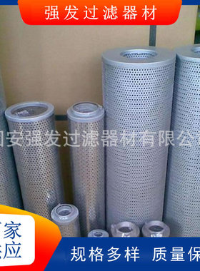 WY800×30Q2电厂循环泵入口冲洗滤芯EH油油动机过滤器滤网