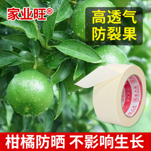 柑橘防晒贴纸加厚高粘防日灼水果