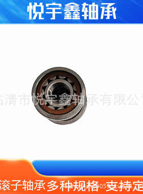 NU220E NUP220E NJ220M 圆柱滚子轴承