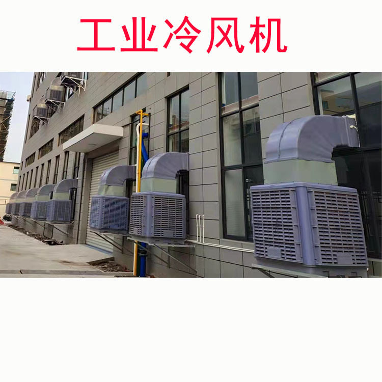供应宁波工业冷风机游泳馆降温冷风机大风量降温效果好工业冷风机