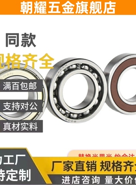 C-E6704/6804轴承6904/FL6004/6204DDU/B6805/SB6905/6005/6205ZZ