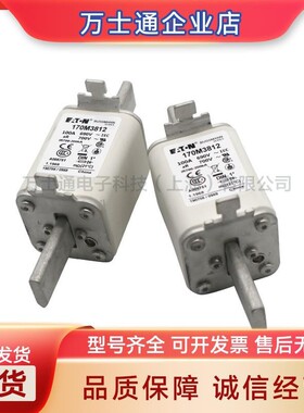 170M3808D/3809D/4863D4867D/5814D/5820D/5816D/5817D熔断器