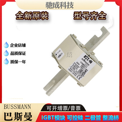 巴斯曼170M5211 170M5212 170M5213  低压保险丝诚信经营货源充足