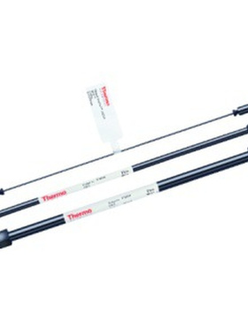 色谱耗材赛默飞DIONEX保护柱044078阴离子色谱柱AG11水质分析