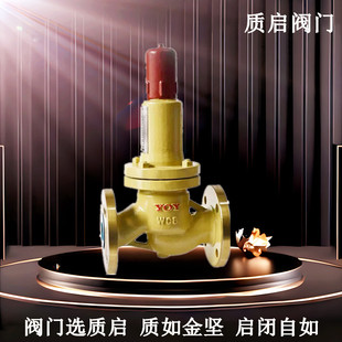 海一法兰安全阀 南一自动泄压安全阀 永一AHN42F平行式 安全回流阀