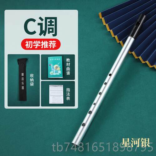 正品爱兰初哨笛D调C调降B调金属笛入口笛直笛学者门专业款六孔尔