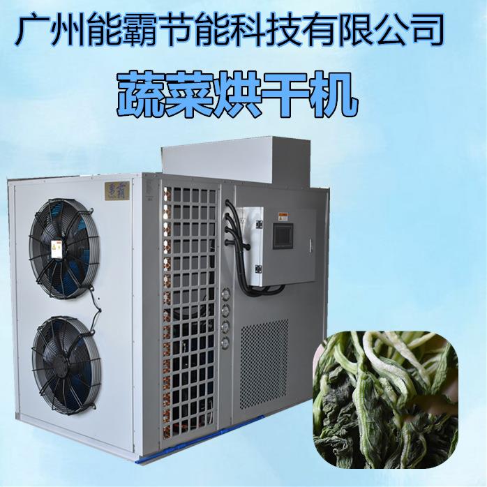 专业销售蔬菜烘干机食品烘干除湿空气能设备全自动菜心烘干机