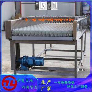 全自动牡蛎清洗机高压喷淋海产品海蛎子生蚝平行毛刷清洗机,清洗/食品/商业设备,其他食品加工设备,淘宝优惠券,粉丝福利购,淘宝优惠卷