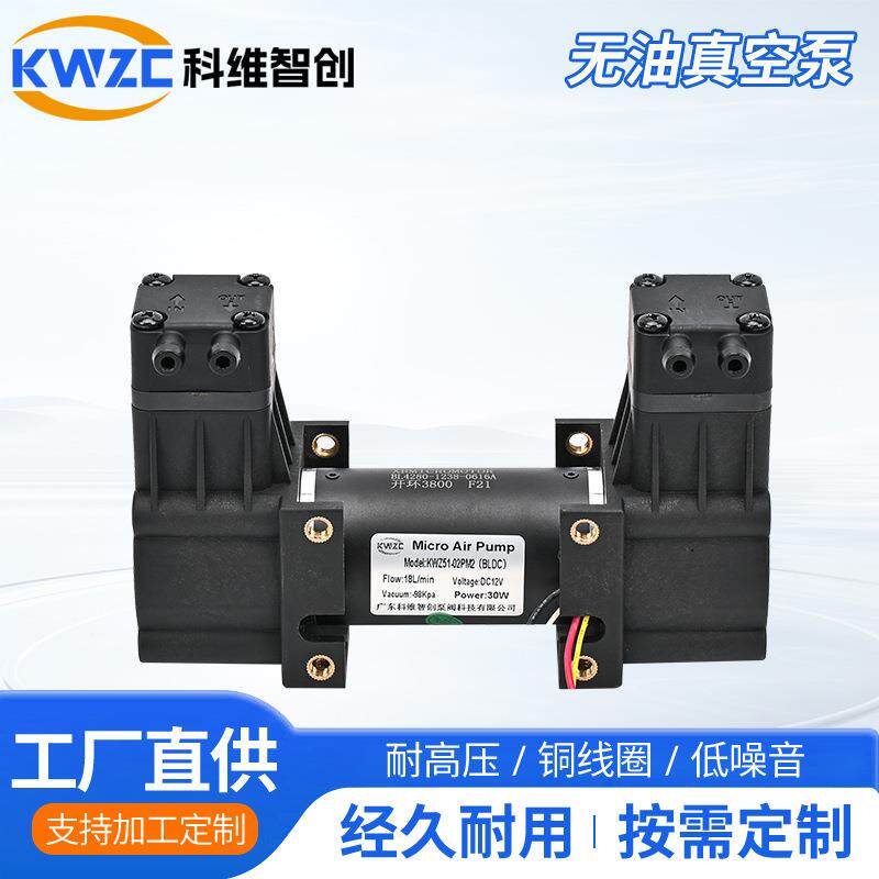 51-02PM2美容仪双头有刷小型负压泵24V无油膜片静音吸气泵