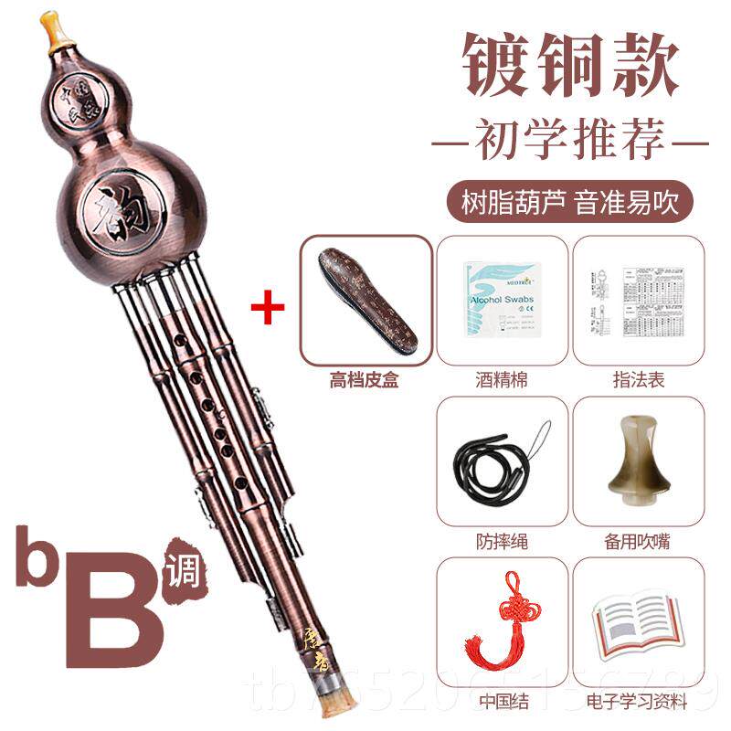 正品小葫芦丝调b调学生专用初学者成人儿降童演奏型专c业民族乐器